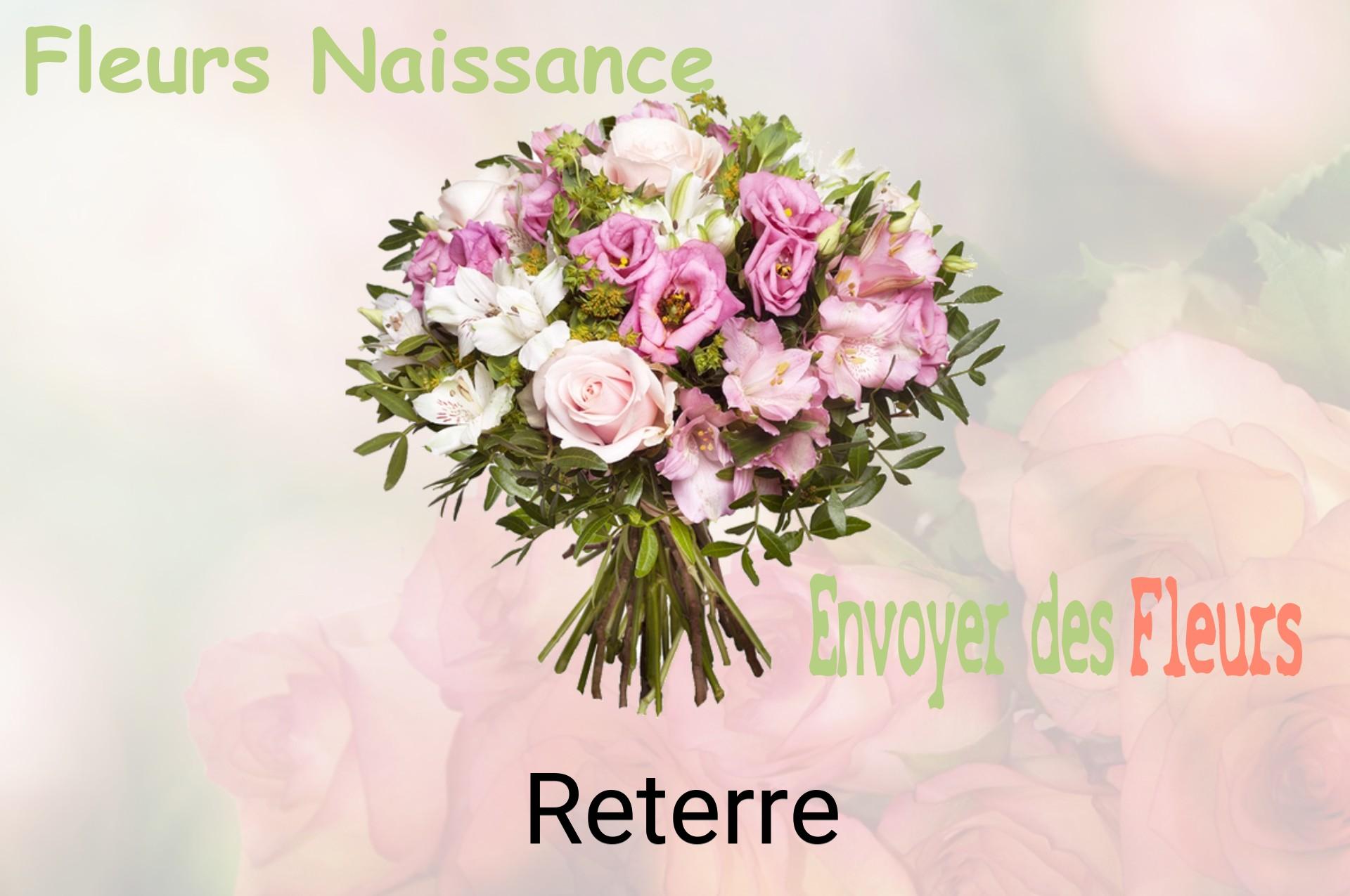 Bouquet de fleurs de naissance livré à Reterre